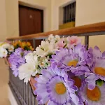 Dama Rooms